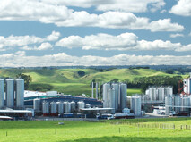 Food & Dairy Compliance